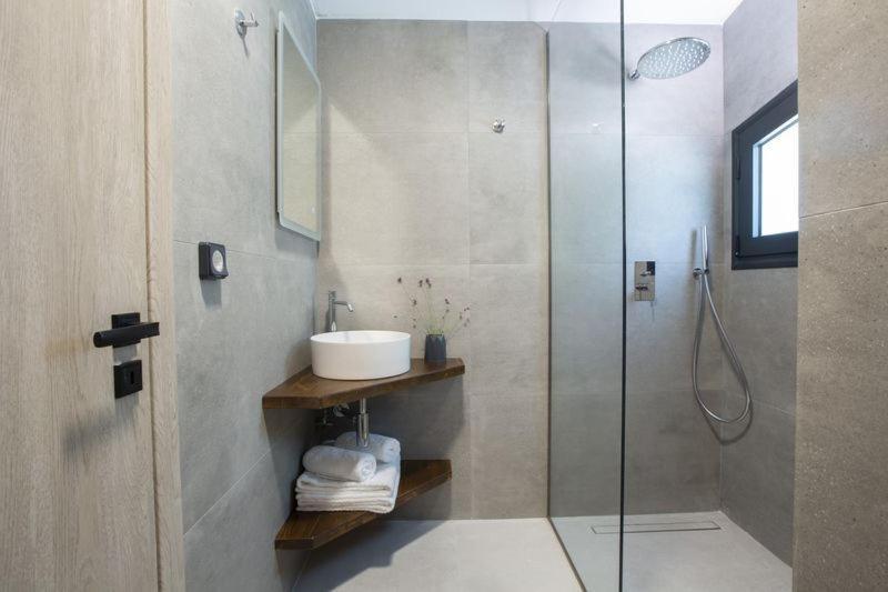 Seascape Villas Vassiliki - Beachfront Villas Extérieur photo